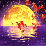 Full Diamond Painting kit - Beautiful moon view