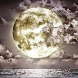 Full Diamond Painting kit - Beautiful moon view