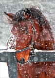 Full Diamond Painting kit - Horse in snow