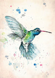 Full Diamond Painting kit - Watercolor Hummingbird