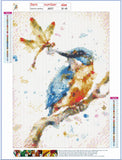 Full Diamond Painting kit - Watercolor bird and dragonfly