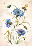 Full Diamond Painting kit - Blue Cornflower