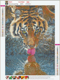 Full Diamond Painting kit - Tiger drinking water