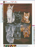 Full Diamond Painting kit - Cats and tigers