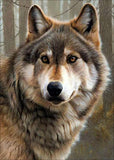 Full Diamond Painting kit - A wolf