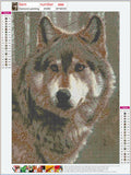 Full Diamond Painting kit - A wolf