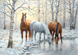 Full Diamond Painting kit - Horses