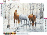 Full Diamond Painting kit - Horses