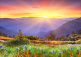 Full Diamond Painting kit - Beautiful scenery