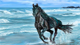 Full Diamond Painting kit - Handsome horse