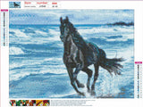 Full Diamond Painting kit - Handsome horse