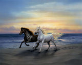 Full Diamond Painting kit - Black and white horses