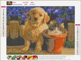 Full Diamond Painting kit - Cute animals a cat and a dog