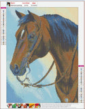 Full Diamond Painting kit - Cute horse