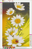 Full Large Diamond Painting kit - White daisy