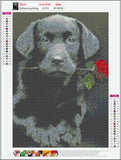 Full Diamond Painting kit - Dog with rose