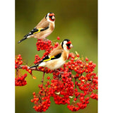 Full Diamond Painting kit - Goldfinch