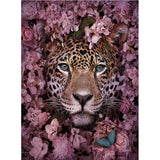 Full Diamond Painting kit - Tiger