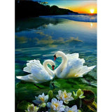 Full Diamond Painting kit - Two swans