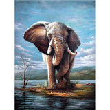 Full Diamond Painting kit - Wild elephant
