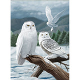 Full Diamond Painting kit - White owl