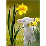 Full Diamond Painting kit - Cute lamb