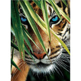 Full Diamond Painting kit - Wild tiger