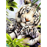 Full Diamond Painting kit - White tiger