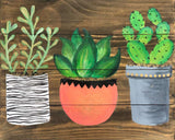 Full Diamond Painting kit - Succulents Potted Plants