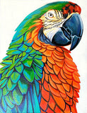 Full Diamond Painting kit - Parrot