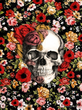 Full Diamond Painting kit - Skull and flowers