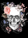 Full Diamond Painting kit - Skull and flowers