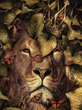 Full Diamond Painting kit - Lion