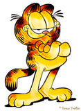 Full Diamond Painting kit - Garfield