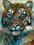 Full Diamond Painting kit - Tiger