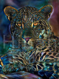 Full Diamond Painting kit - Cheetah