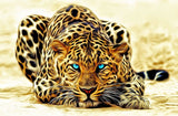 Full Diamond Painting kit - A Leopard