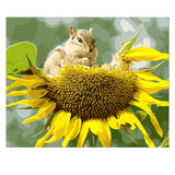 DIY Painting by number kit | Squirrel eating sunflower seeds