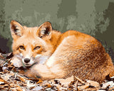 DIY Painting by number kit | Animal fox