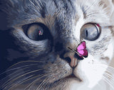 DIY Painting by number kit | Butterfly on cat's nose