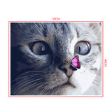 DIY Painting by number kit | Butterfly on cat's nose