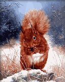 DIY Painting by number kit | Animal squirrel