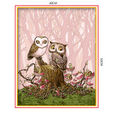 DIY Painting by number kit | Owls
