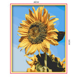 DIY Painting by number kit | Sunflower
