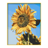 DIY Painting by number kit | Sunflower