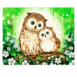 DIY Painting by number kit | Cute owls