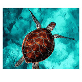 DIY Painting by number kit | Sea turtle