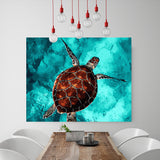 DIY Painting by number kit | Sea turtle