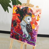 DIY Painting by number kit | Animal owl