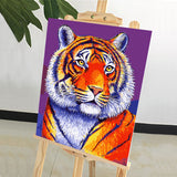 DIY Painting by number kit | African Tiger